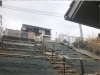 after「川西市で草引き（雑草取り）をしました！」
