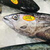 「魚魚市場鮮魚コーナーおすすめは「シビマグロ・ゆでダコ」です♪」