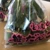 名物！笹だんごはいかがですか？【福島市/道の駅つちゆ/土湯温泉】