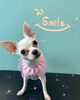 「可愛い子ちゃん♡ Dog salon mofu mofu余市町」