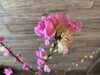 梅の花「〜3月お得エステ(盛りだくさん)〜」