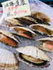 「魚魚市場鮮魚コーナーおすすめは「ツキヒ貝・北海道産活ホタテ」です」
