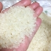 精米したての