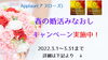 「春の婚活みなおしキャンペーン実施中！」