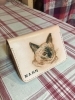 猫ちゃんカービング名刺入れ「所沢フェスティバル開催　10/26，27の２日間に出展します」