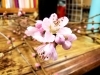 「今日は桃の節句❁.*･ﾟ」