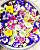 「花手水を新しい花に入れ替えました！」