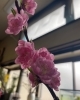 「定休日のお知らせです」