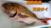 「金曜日‼️新鮮なお刺身と美味しいお惣菜をどうぞ‼️」