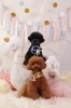 Happy birthday　(*^-^*)「Anniversary photo　(*´ω｀*)」