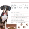 ドッグフード 手作りごはん 愛犬の 食 診断 愛犬の身体は食べたものでできています どんなものかチェックしてみましょう ドックケアコーディネーター協会のニュース まいぷれ 市川市