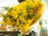 わさっと10本束にしてみました。かわいー♡「3月8日は「ミモザの日」」