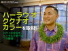メディア掲載「テラコヤプラス」子どもフラ「メディア掲載 「子どもフラについて」テラコヤプラスの取材を受けました【東日本橋・馬喰横山・人形町・水天宮・浜町・小伝馬町・浅草橋エリアのフラダンス教室/初心者も経験者も子供も女性も男性もシニアも♪/ダンス/スクール/習い事/体操】」