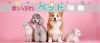 ペット情報まとめ（松山・伊予・東温・松前・砥部）