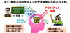 「入学前にやっておくこと　10．アウトプット【神・子育て術　入学】」