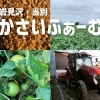 ご無沙汰しております。本日は、【ミモザ】の日❗️