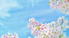 「女性のからだは血が基本♡」