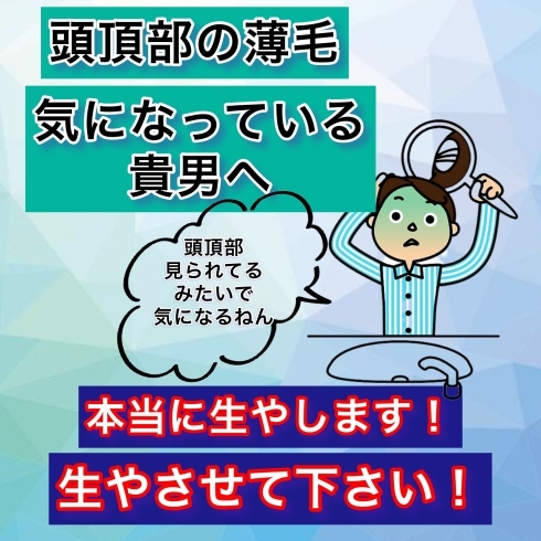 「頭頂部の薄毛　気になっている貴男へ」