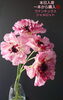 花びらが優雅！「かわいすぎるお花たち入荷！」