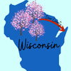We have them too!「Teacher'sコーナー107号 Cherry Blossoms... in Wisconsin!? 【蘇我駅近くの英会話教室】」