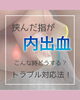 「爪のトラブルに困っていませんか？【福井市 / ネイルサロン / 自爪育成】」