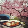 花見弁当