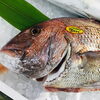 「魚魚市場鮮魚コーナーおすすめは「天然本マグロ」です♪」