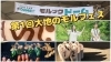 「春休み特別企画【第１回大地のモルフェス】 〜モルック大会・大地の種LIVE・BBQ〜」