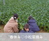「春休みイベント情報★小松菜摘みをしてみよう★小原農園・門倉農園」