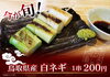 「出雲そばのお供に！【鳥取県産　白ネギ串】」