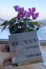 「🌈さっぽろチカホイベントのお知らせ🌈」