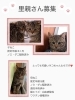 里親募集「里親募集中」
