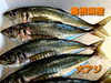 「○本日のお刺身○【島根県産】大アジ、ヒラメ」