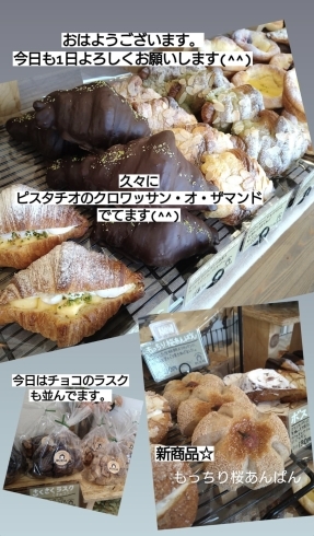 「今日もオープンしてます！淡路島の淡路市大谷にあるパン屋ブランジェリー　ルーラルです✨ハード系のおすすめのパン沢山あります✨食パンも人気です✨今日はサクサクラスクも並んでます✨」