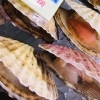 「魚魚市場鮮魚コーナーおすすめは「北海道産ホタテ」です♪」
