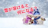 雪が溶けると何になる？？？「「スタッフブログ更新！」成婚退会された方のお相手にお聞きした　～結婚の決め手とは～」