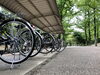 「春の新生活準備！通学用自転車、通勤用自転車は当店で！高品質・高性能のブリヂストン製をお勧めします！」