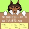 「ドッグランマルシェ開催」