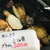 「魚魚市場鮮魚コーナーおすすめは「地タコ・ミル貝」です♪」
