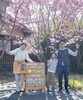 星座館　坂東さん製作の看板「【健康・腸活料理・古民家カフェ・ランチ】浜松南・星座館南区で腸活ランチが食べられる古民家カフェ」
