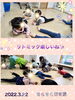 雨の日でも楽しいね♪「雨でも楽しいリトミック♪【交野市・小規模保育園】」