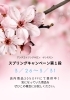 「スプリングキャンペーン開催！　【松山市平和通・アンチエイジングサロン Bon Moment】」