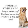 Do you?「Teacher'sコーナー109号 Don't you?はどう答える？ 【蘇我駅近くの英会話教室】」