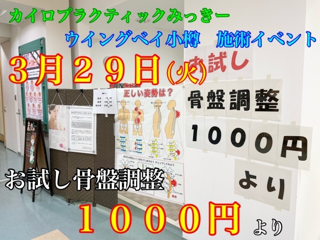 「３月２９日　お試し骨盤調整　１０００円より　ウイングベイ小樽」