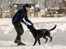 吠えている犬を抱っこするのはNG！　犬のカーミングシグナルを注意深く見てね！