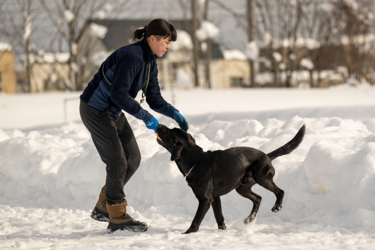 「吠えている犬を抱っこするのはNG！　犬のカーミングシグナルを注意深く見てね！」