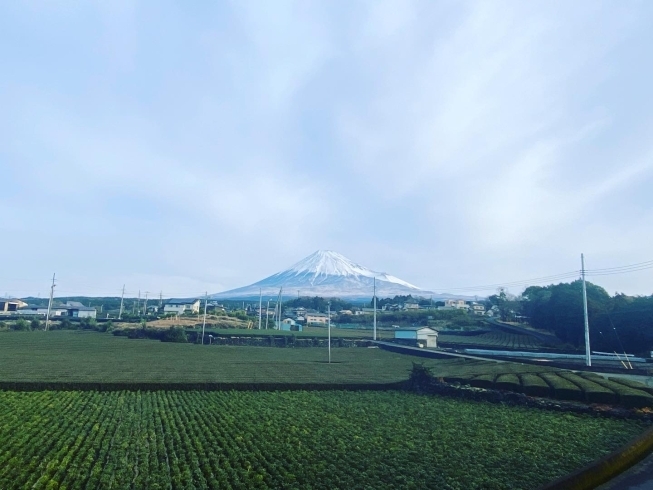 「白富士とパッケージ印刷【静岡県で烏骨鶏の卵なら悠々ファームへ】」