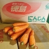 徳島県産 「春にんじん」 の入荷が始まっていますよー | 佐々豊青果の