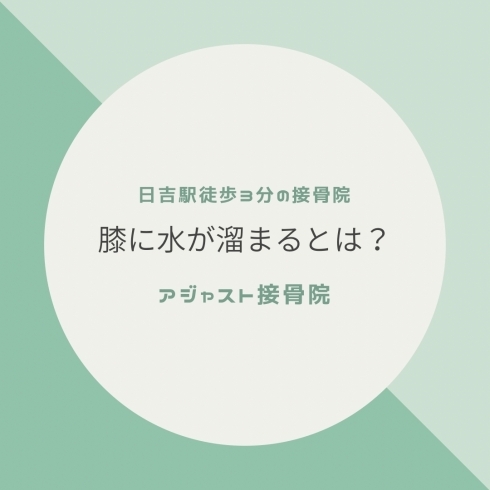 「膝に水が溜まるとは？【日吉駅徒歩3分の接骨院】」