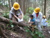 「ヒノキの間伐体験が行われました」